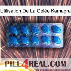 Utilisation De La Gelée Kamagra viagra1